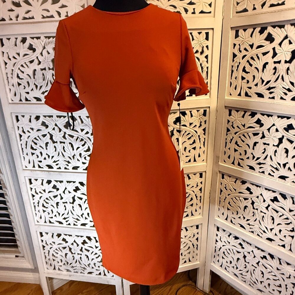 NWT Calvin Klein Size 4 Beautiful Burnt Orange Designer Dress some snags